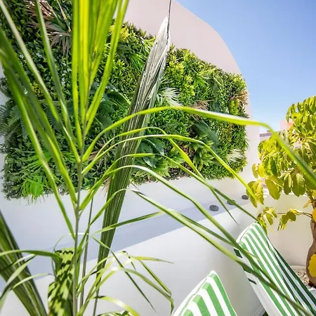 Medano4you The Jungle Terrace Apartamento