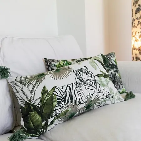 Medano4you The Jungle Terrace