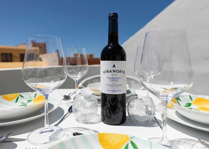 Medano4you The Jungle Terrace Apartamento